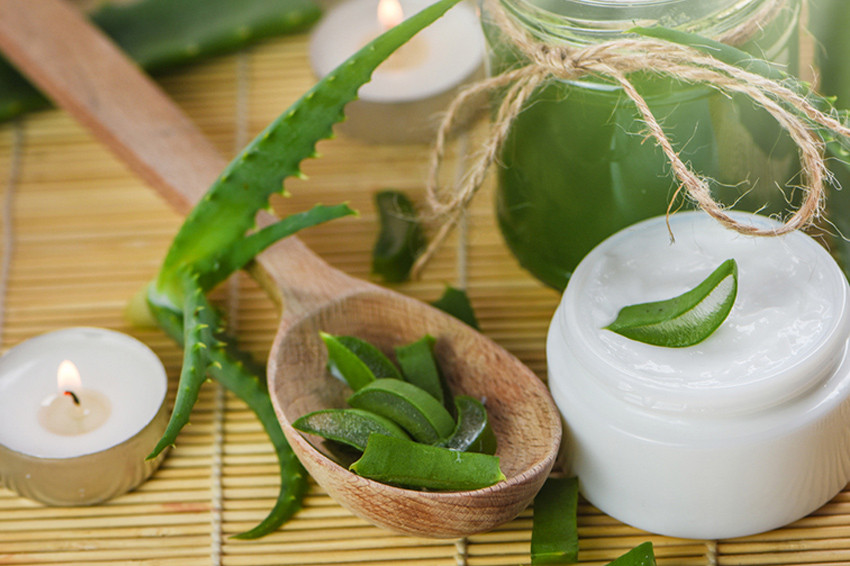 Aloe vera - Znate li kako izgleda i za šta je sve dobra