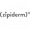 /files/images/brends/zipiderm_logo.png