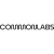 COMMON LABS