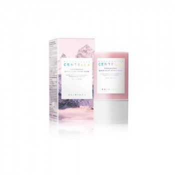 SKIN 1004 Madagaskar Centella Poremizing Quick Clay Stick Mask 27g 